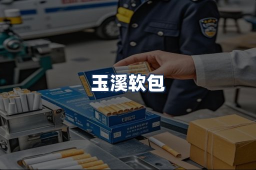 玉溪软包